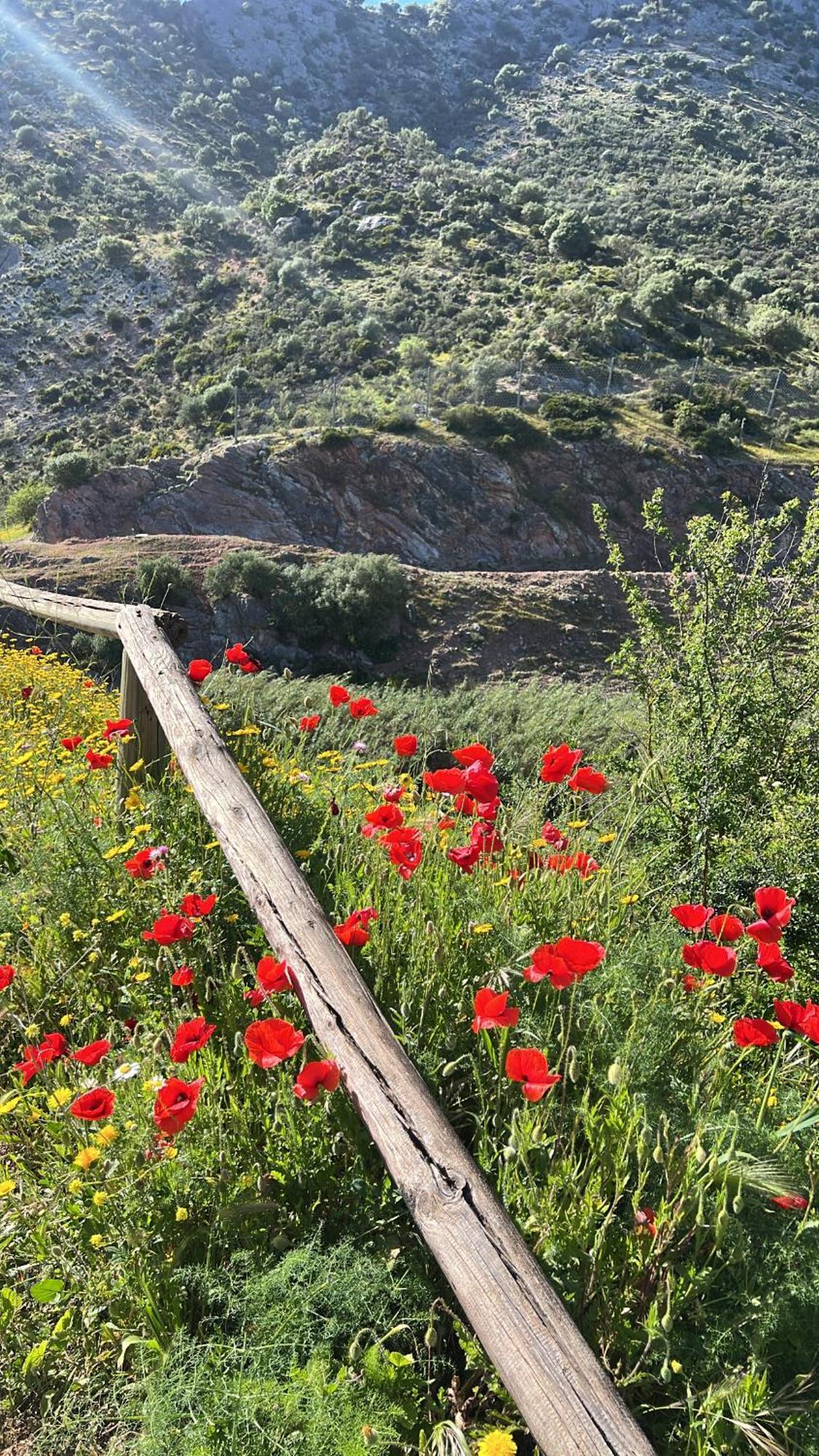 Casa Rural Las Rosas De เบเนาจ์อัน ภายนอก รูปภาพ